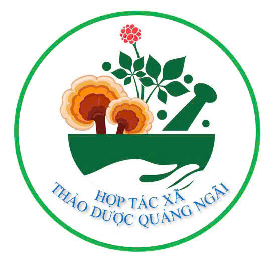 Hợp Tác Xã Thảo Dược Quảng Ngãi